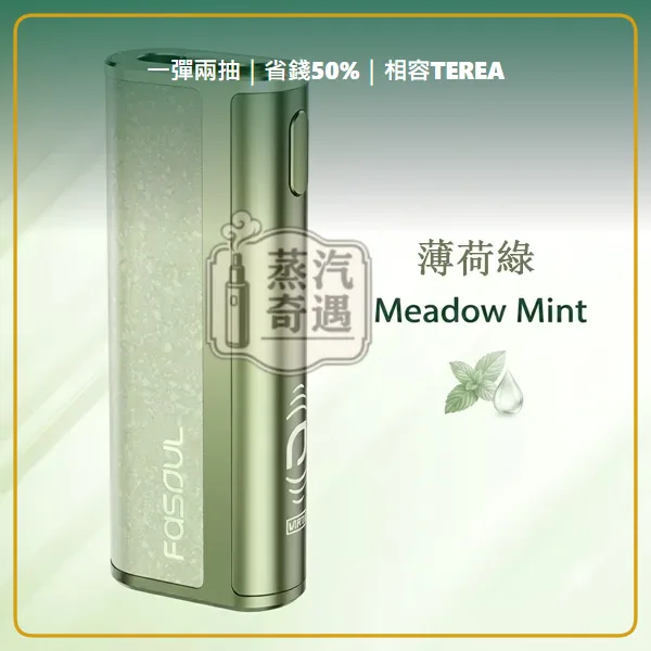 Fasoul C2 二回機薄荷綠 相容 TEREA/SENTIA 一彈兩抽 20支續航,顏色:薄荷綠,產品相冊第 2 張